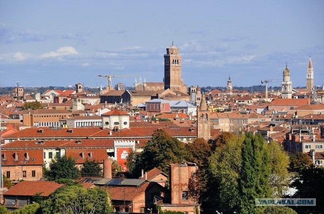 Любовь с первого взгляда