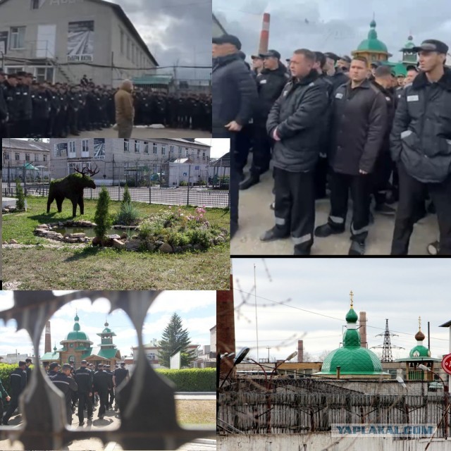 В продолжение темы о Пригожине и зеках на фронте