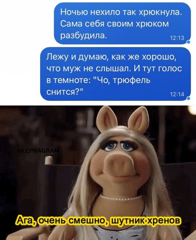 Картинки и мемы, всем хороших выходных