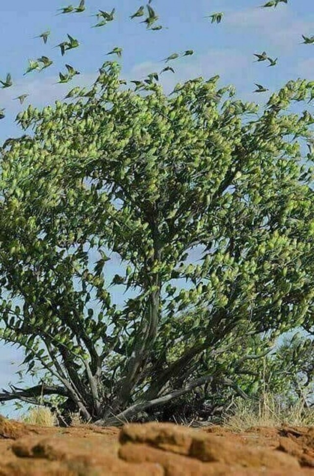 38 удивительных фото, поражающих воображение