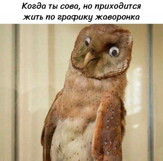 Юмор в картинках и без