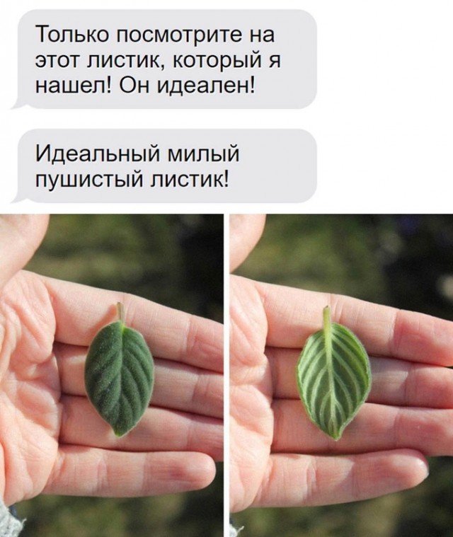 Немного картинок для настроения - 135