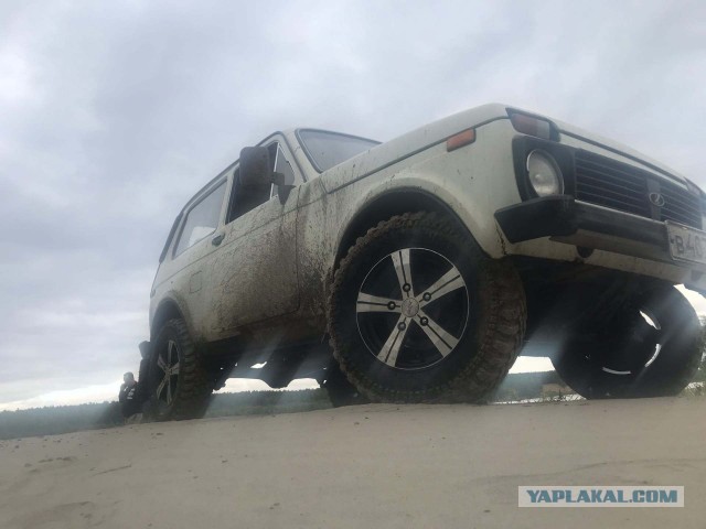 Нивасик
