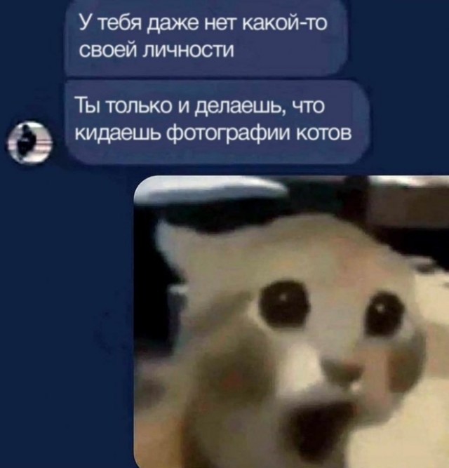 Картинки и мемы, всем хороших выходных