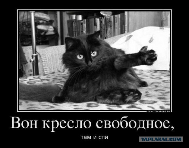 Наглость - второе счастье