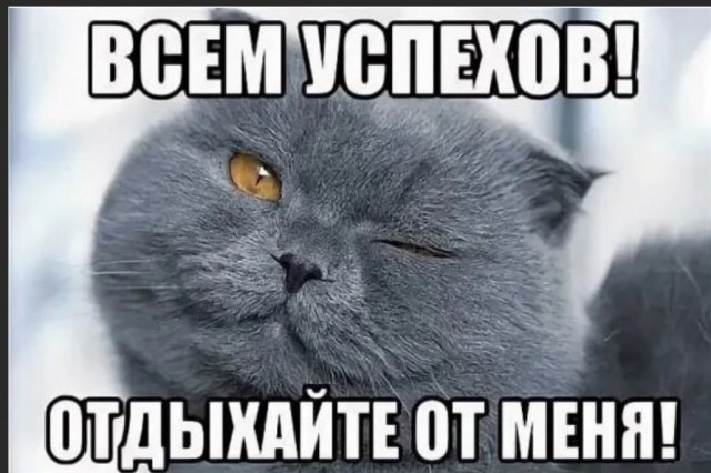 Победная поступь идиотизма по планете – том 11