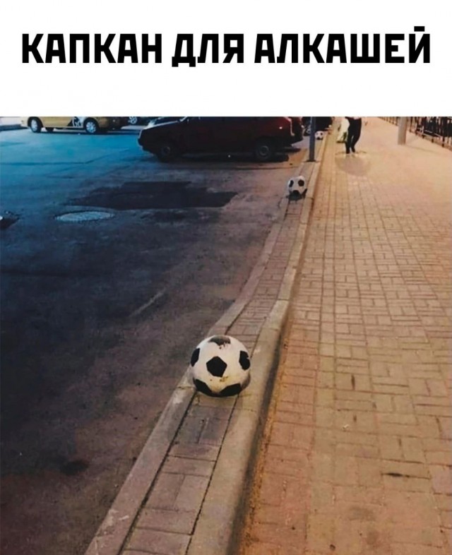 Весёлый полтишок 03.04.23