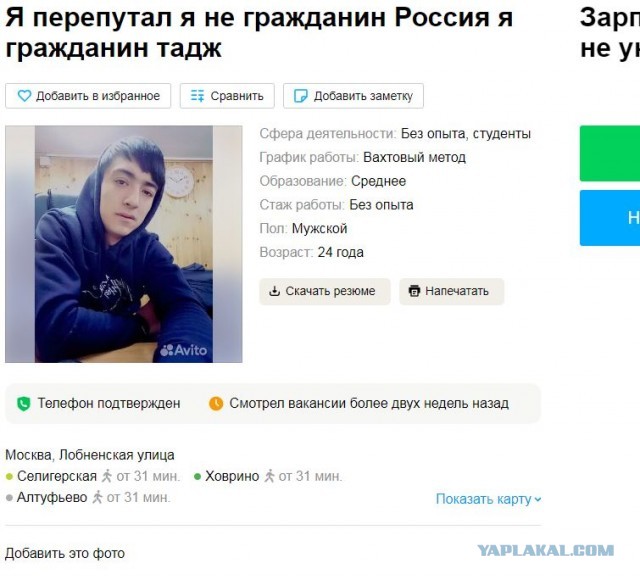 Перлы с одного сайтика