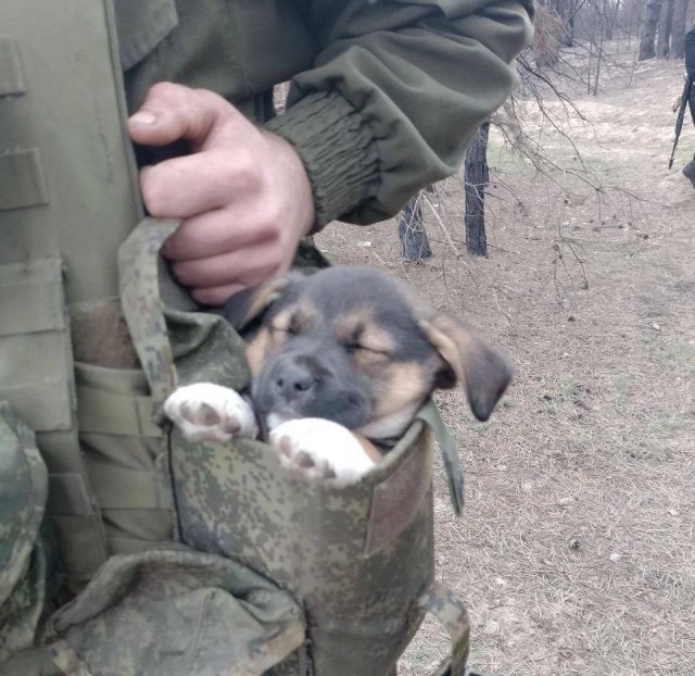 Там где многие теряют друзей он смог обрести нового