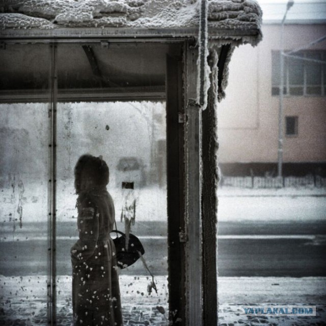 Впечатления американца от посещения Якутска ...