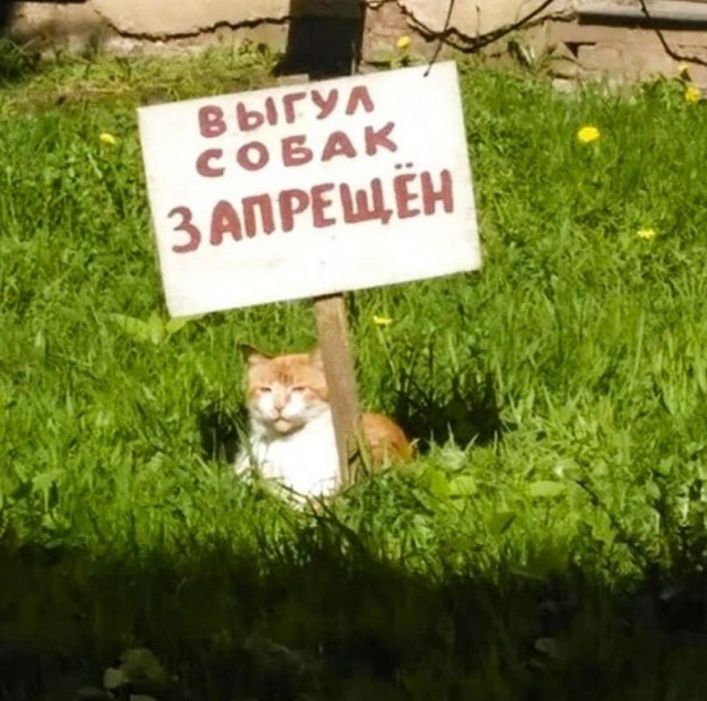 Прикольные и просто красивые картинки 25.07.2023