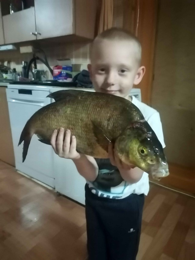 Один в лодке, не считая собаки