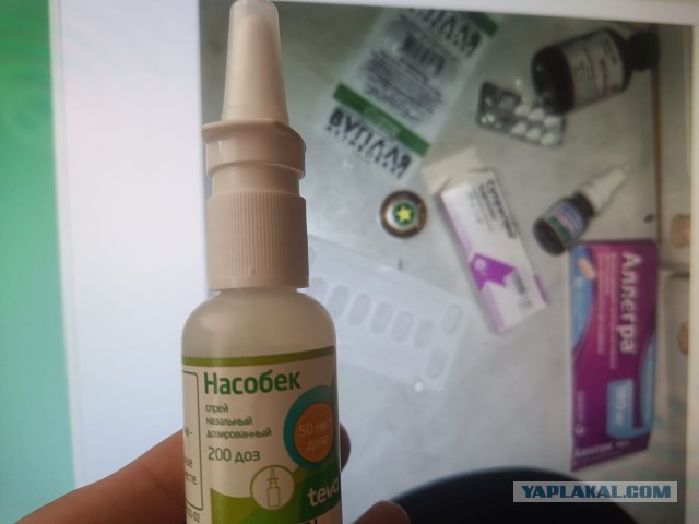 Амброзия. Девятый год как август насмарку.