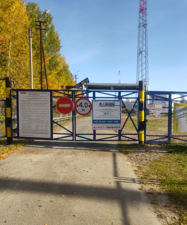 В России с каждым годом продолжает расти количество разводов