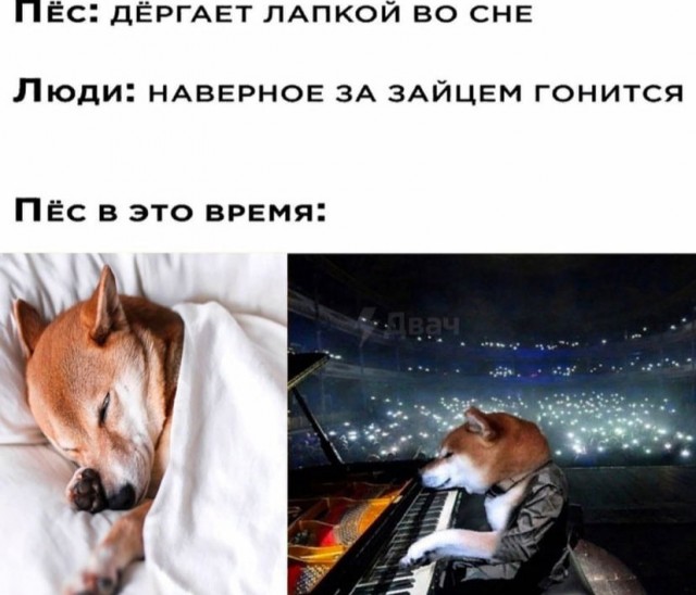 Баянисто-упоротые картинки