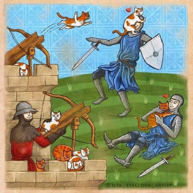 Котокартинки