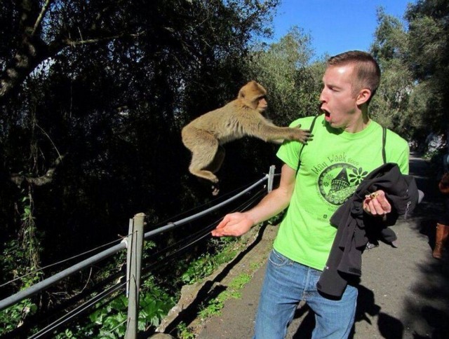 Подборка интересных и веселых картинок 14.02.24