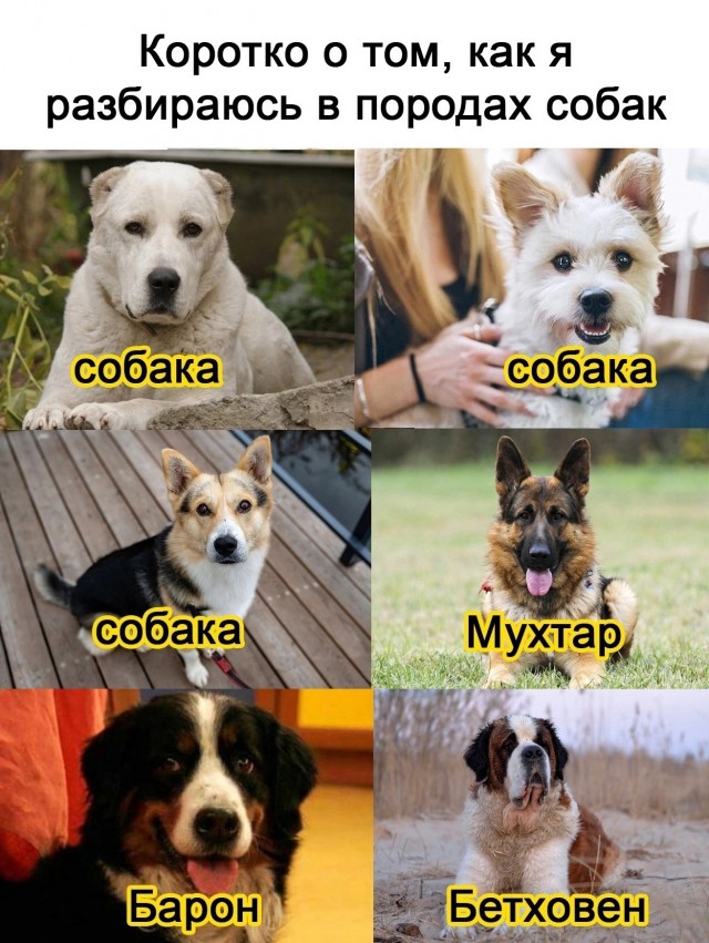 Так себе картинки 17.02.24