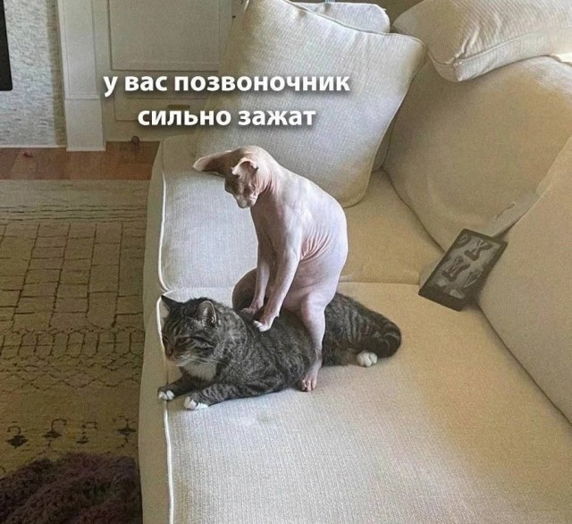 Завалялось тут случайно немного забавных картинок