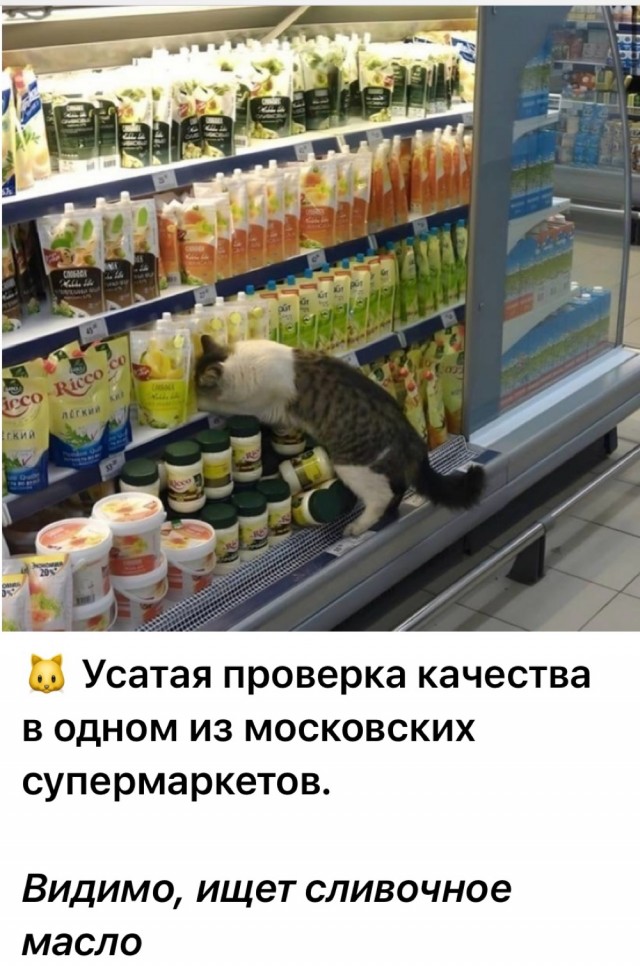 Веселые картики во вторник 29.10