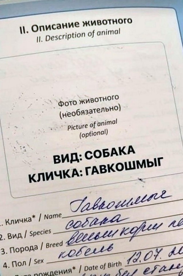 Детство