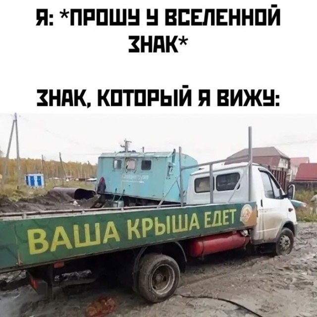 Веселые картинки во вторник (03.12)