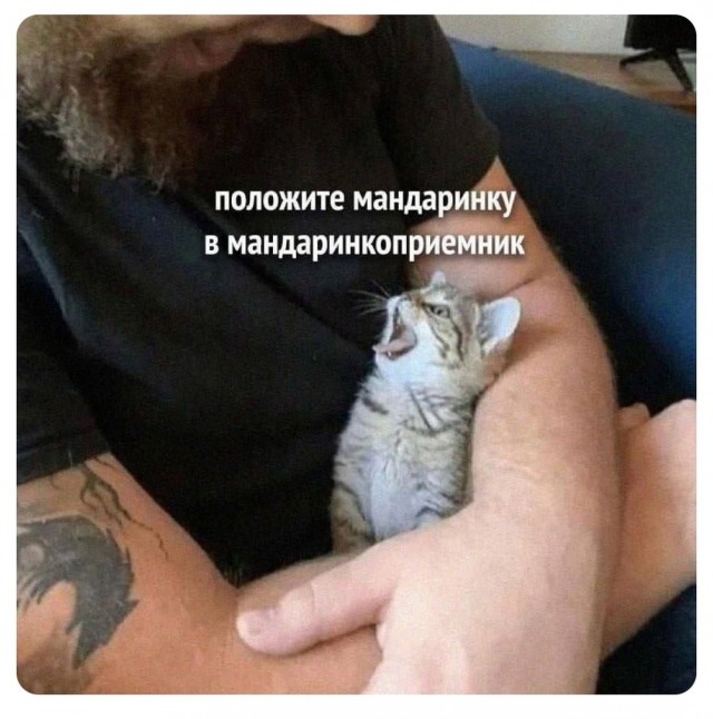 Так себе картинки 13.01.25