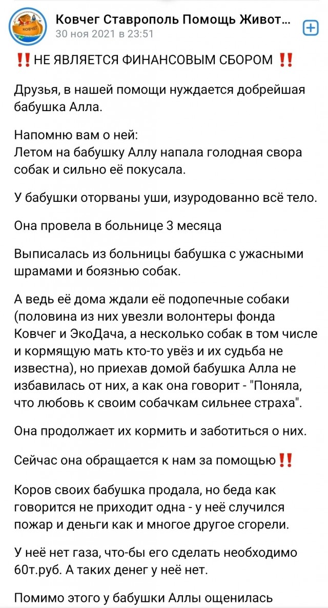 Очередная жертва бродячих собак