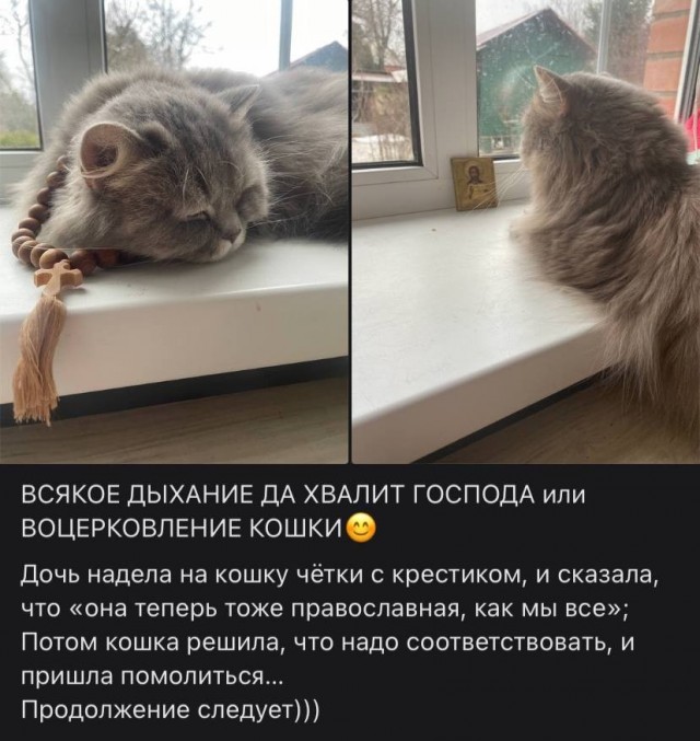 Всякое дыхание да хвалит Господа