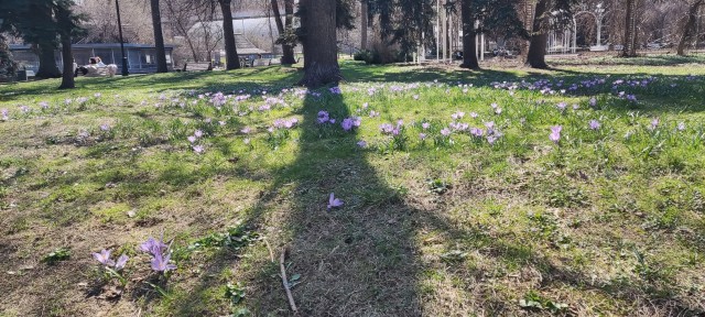 Кто как проводит сегодняшний день.