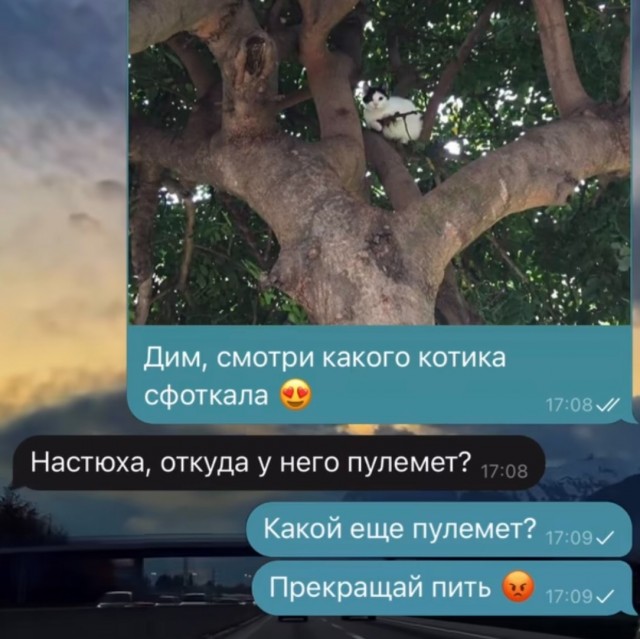 Завалялось тут случайно немного забавных картинок