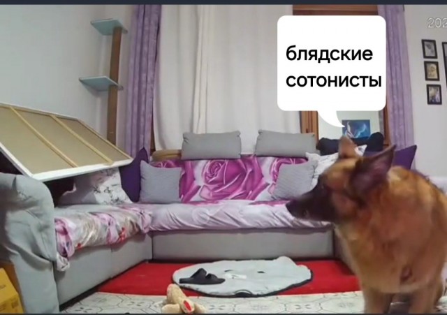 Между двух огней
