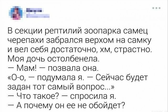 Так себе картинки 25.06.25