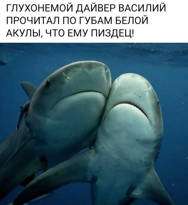 Маленькая пятница 15.10