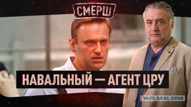 Почти 260 VPN-сервисов заблокированы в РФ
