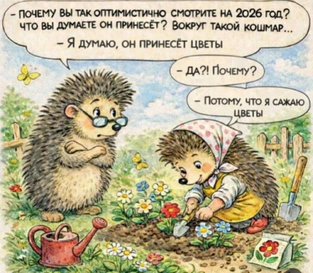 Воскресные картинки