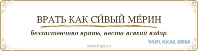Доступ к переписке военных РФ в Telegram имеют иностранные спецслужбы