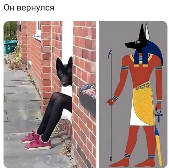 Веселые картинки в пятницу (06.03)