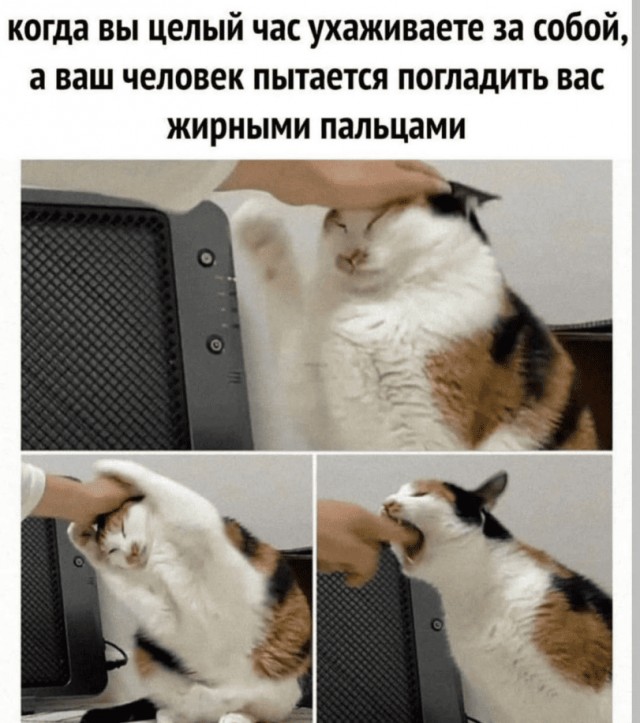 Картиночки, баянчики 28 марта