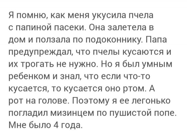 Это были пчёлы