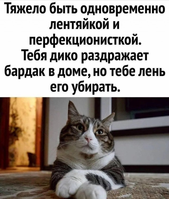 Картинки для деградации 202 (разной степени свежести)