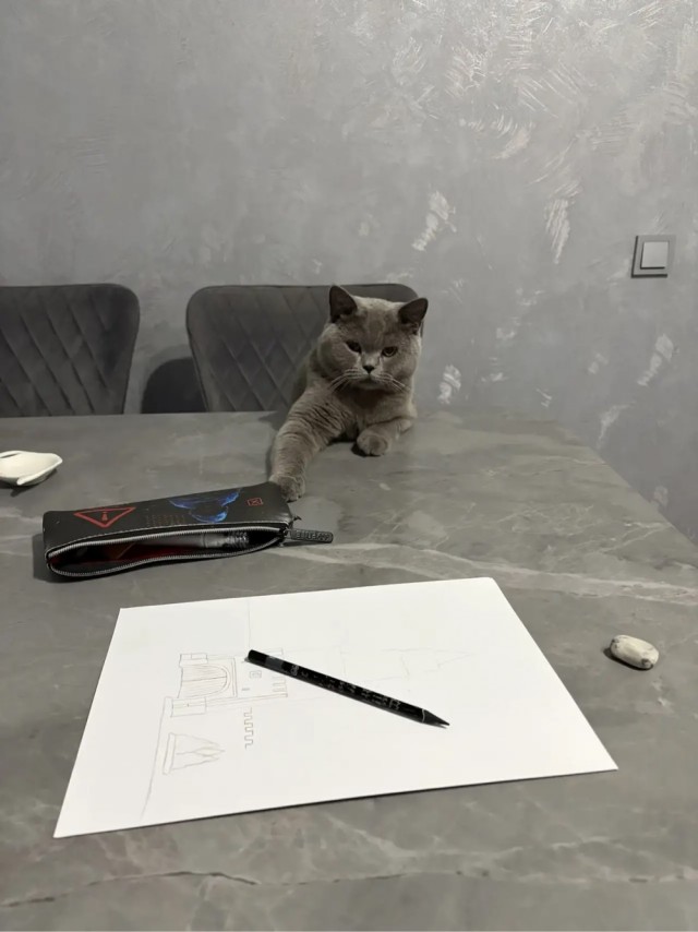 Ну’с с котовторником Вас товарищи