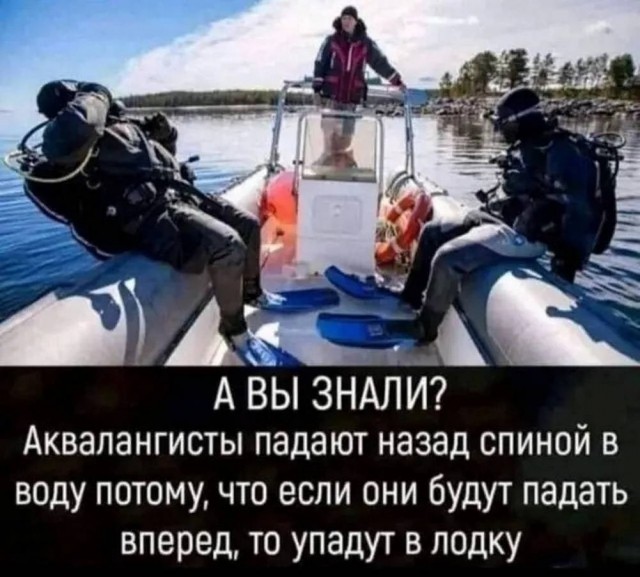 Картиночки, баянчики 05 июня