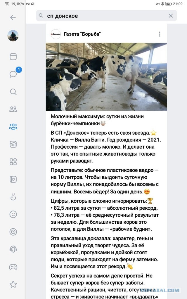 А много корова даёт молока?