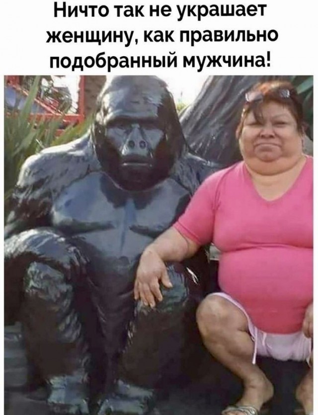 Картинки для деградации 237 (разной степени свежести)