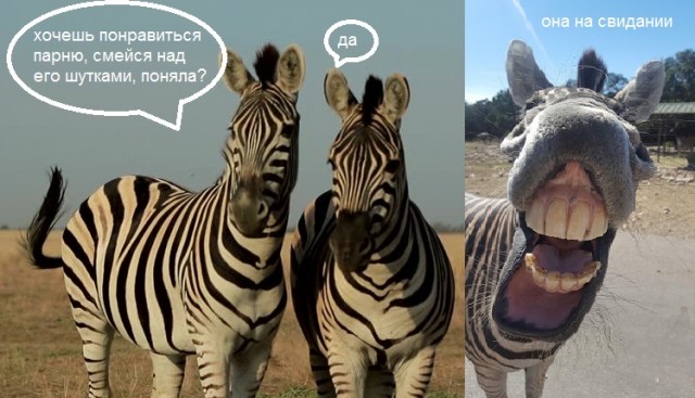 Веселое настроение в картинках 27.07.26