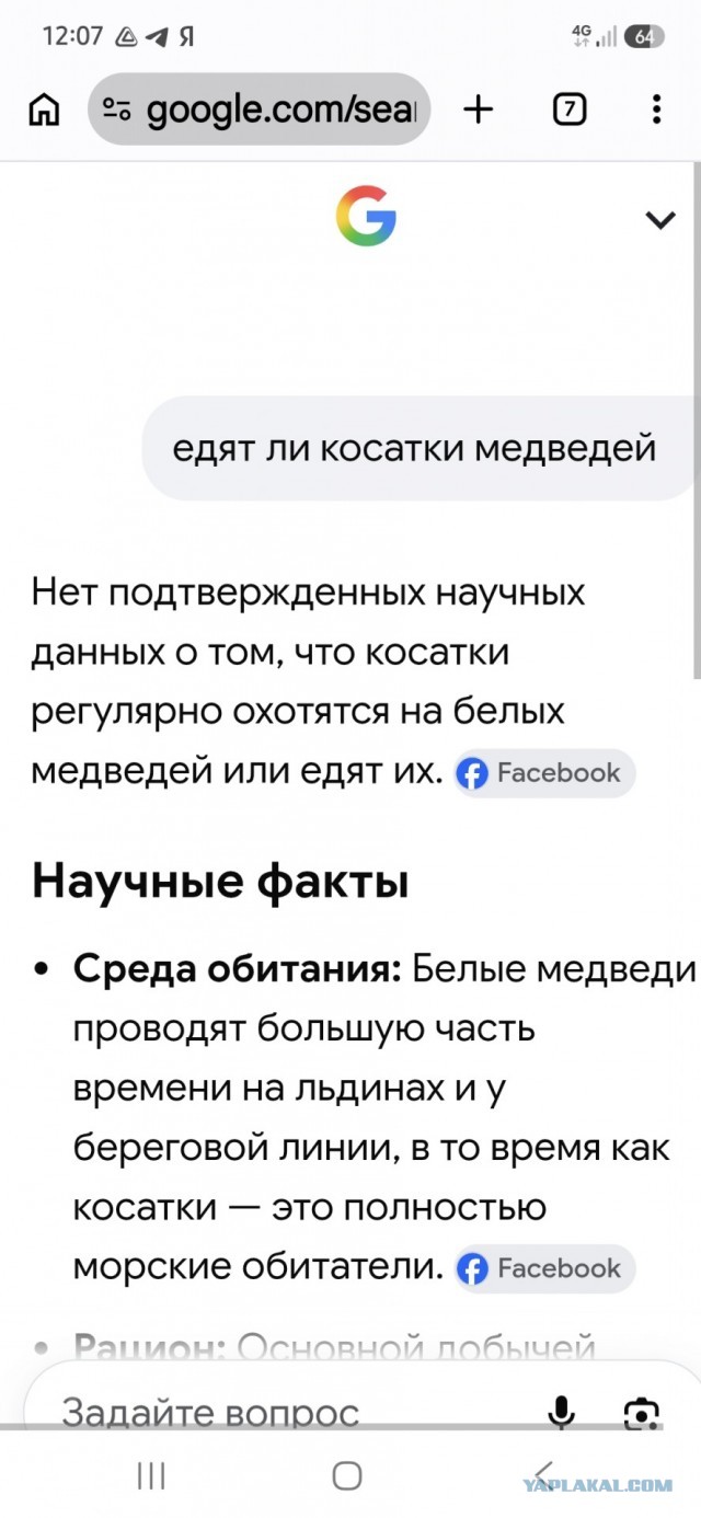 Нашествие медведей в Красноярском крае