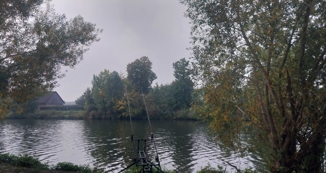 Все краски осени