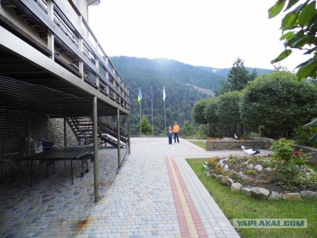 В Карпатах