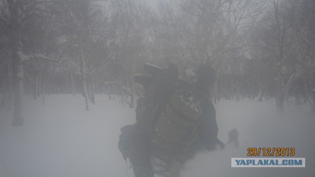 Пурговое